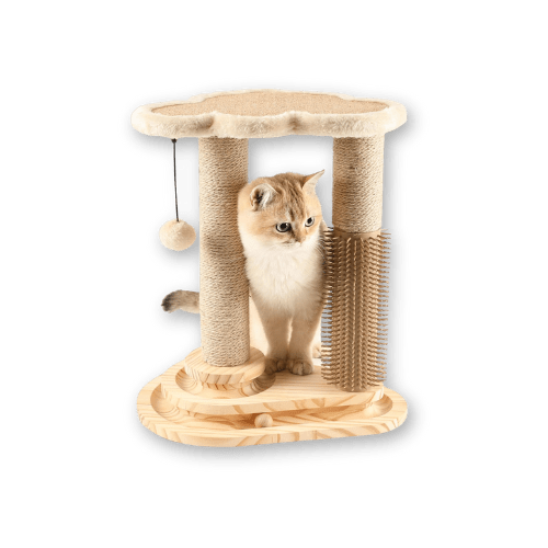 Best Cat Scratch Post