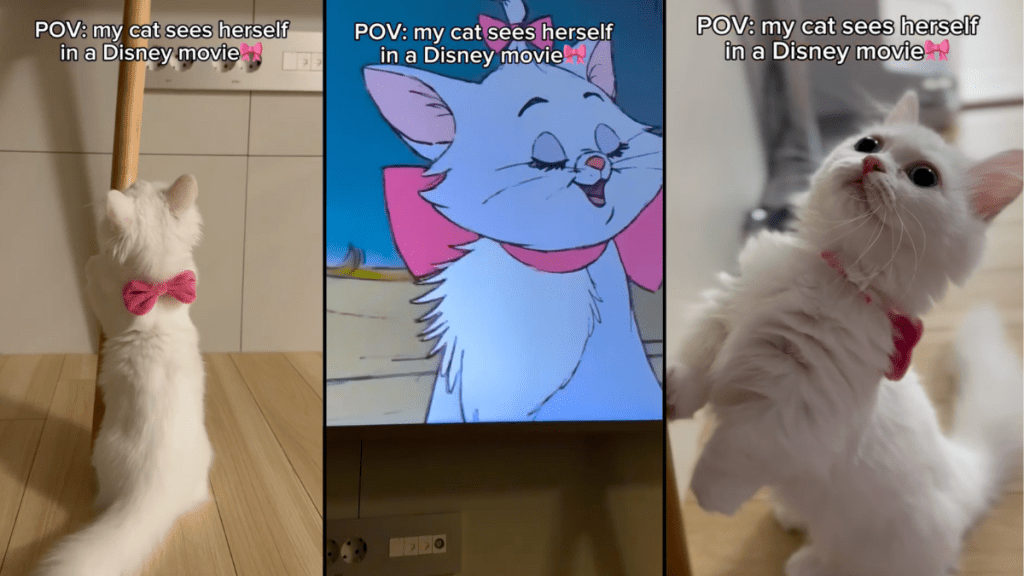 cat disney movie video