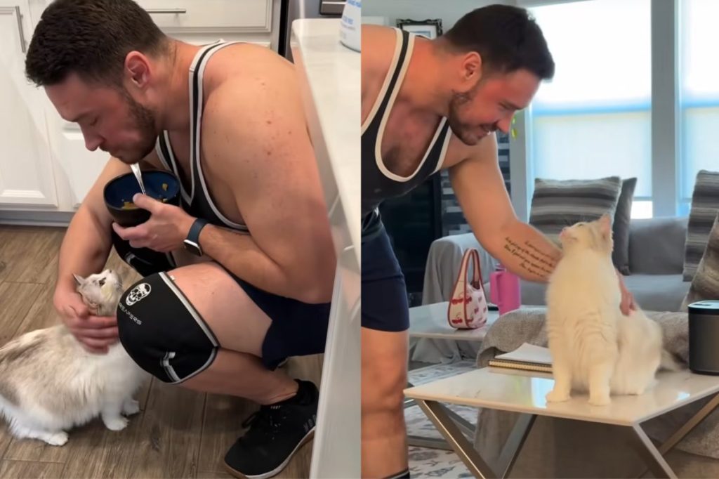 Video of pregnant cat with owner.