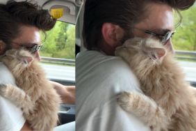 Video: Owner & Adopted Cat Are Inseparable After a Fate-Like Meet Up