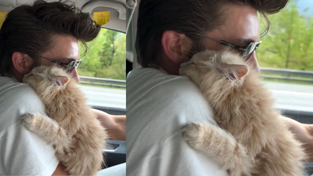 Video: Owner & Adopted Cat Are Inseparable After a Fate-Like Meet Up