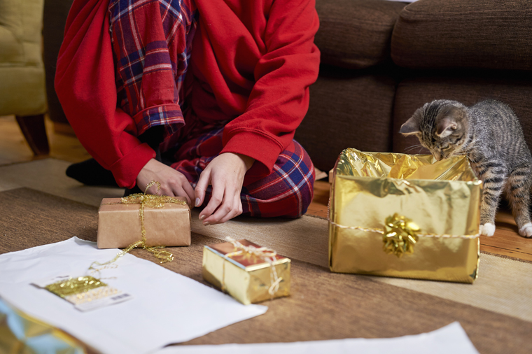 The earth loves recycled presents and so do these cats! 