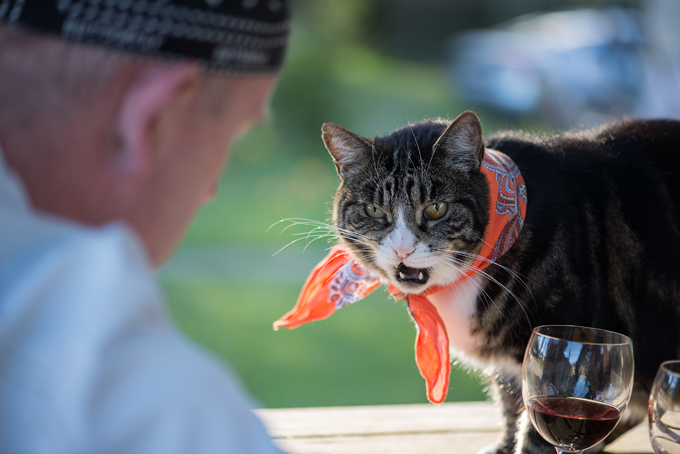 International Bandana Day