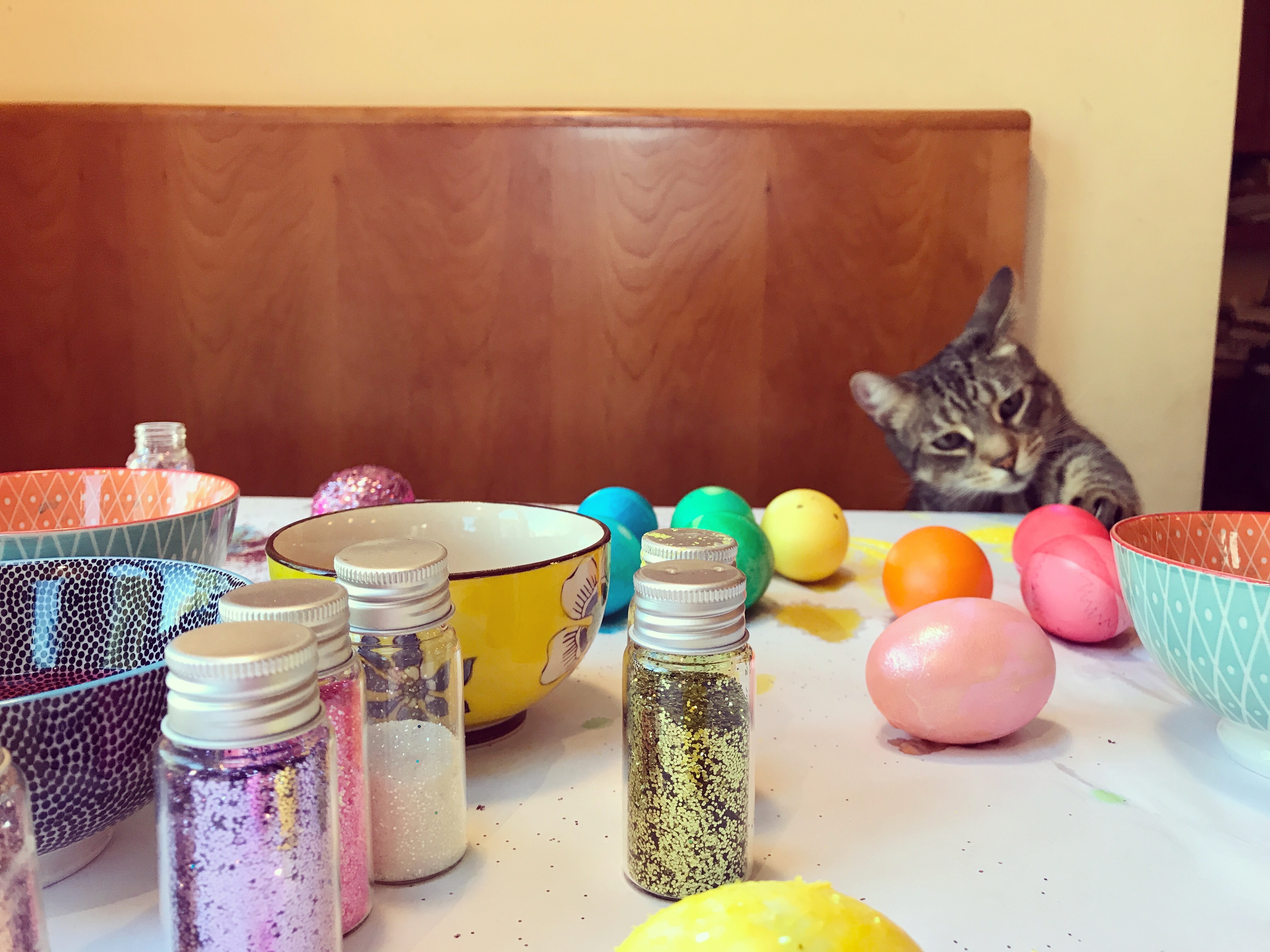 Easter Cat And Kitten Pictures