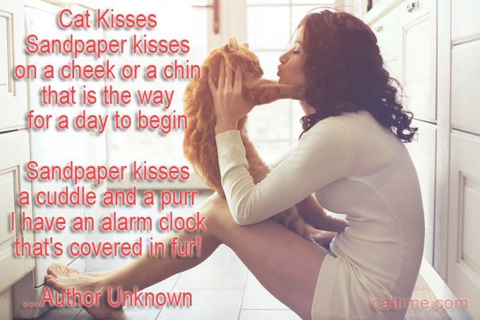 Sandpaper Kisses