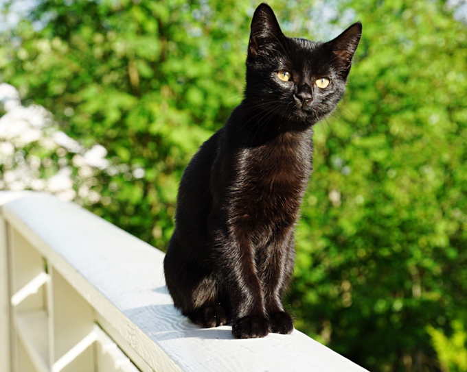 Enjoying the sun. 