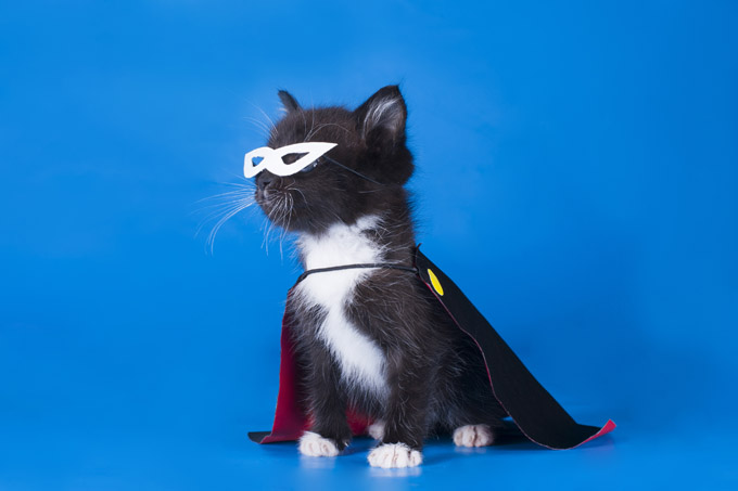 Super Kitten