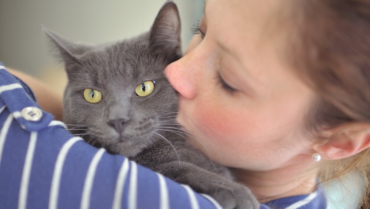 21. Russian Blue Cat