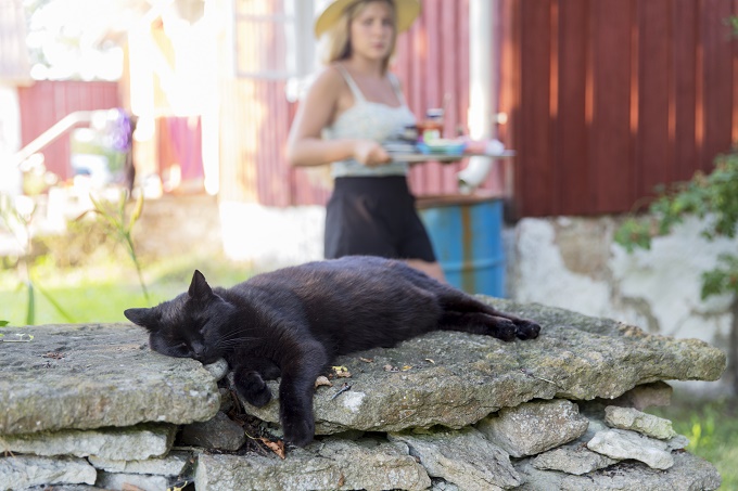 Wake me for the picnic.