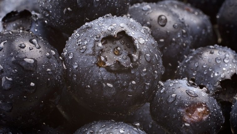 Blueberries