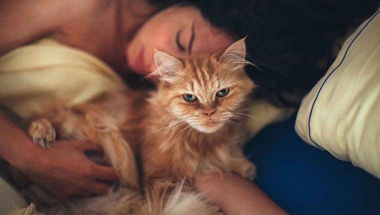 Your Cat's Sleep Schedule Is Your New Sleep Schedule